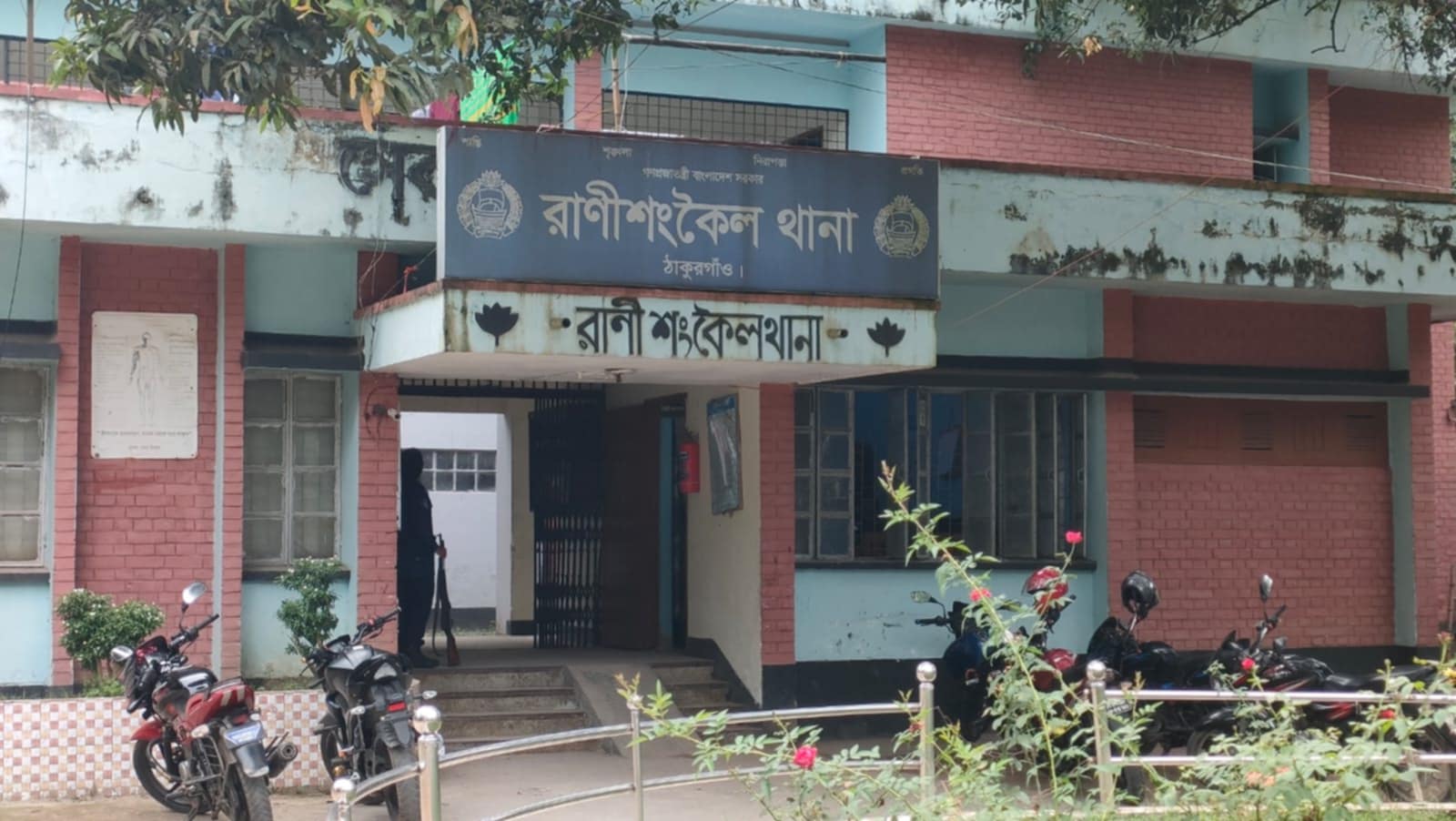 Potato export image showing many potatoes