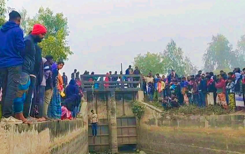 Potato export image showing many potatoes