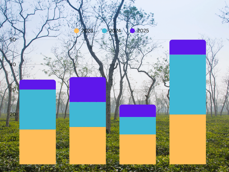 পঞ্চগড়ে চা উৎপাদনে চমক, সব রেকর্ড ভেঙে নতুন রেকর্ড ২ কোটি