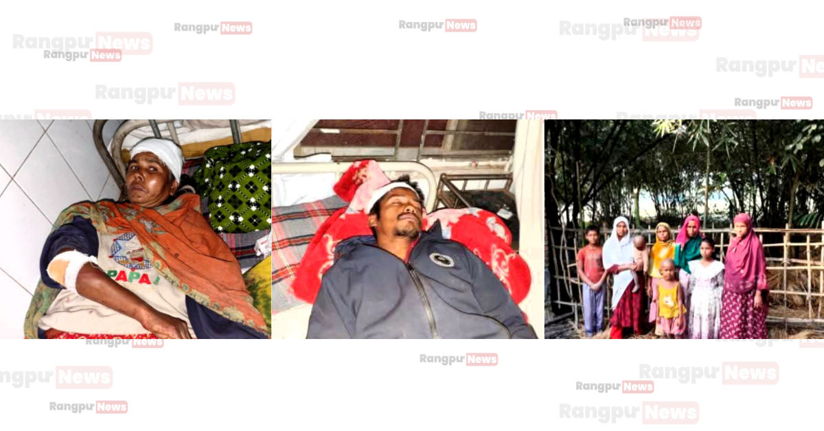 Potato export image showing many potatoes