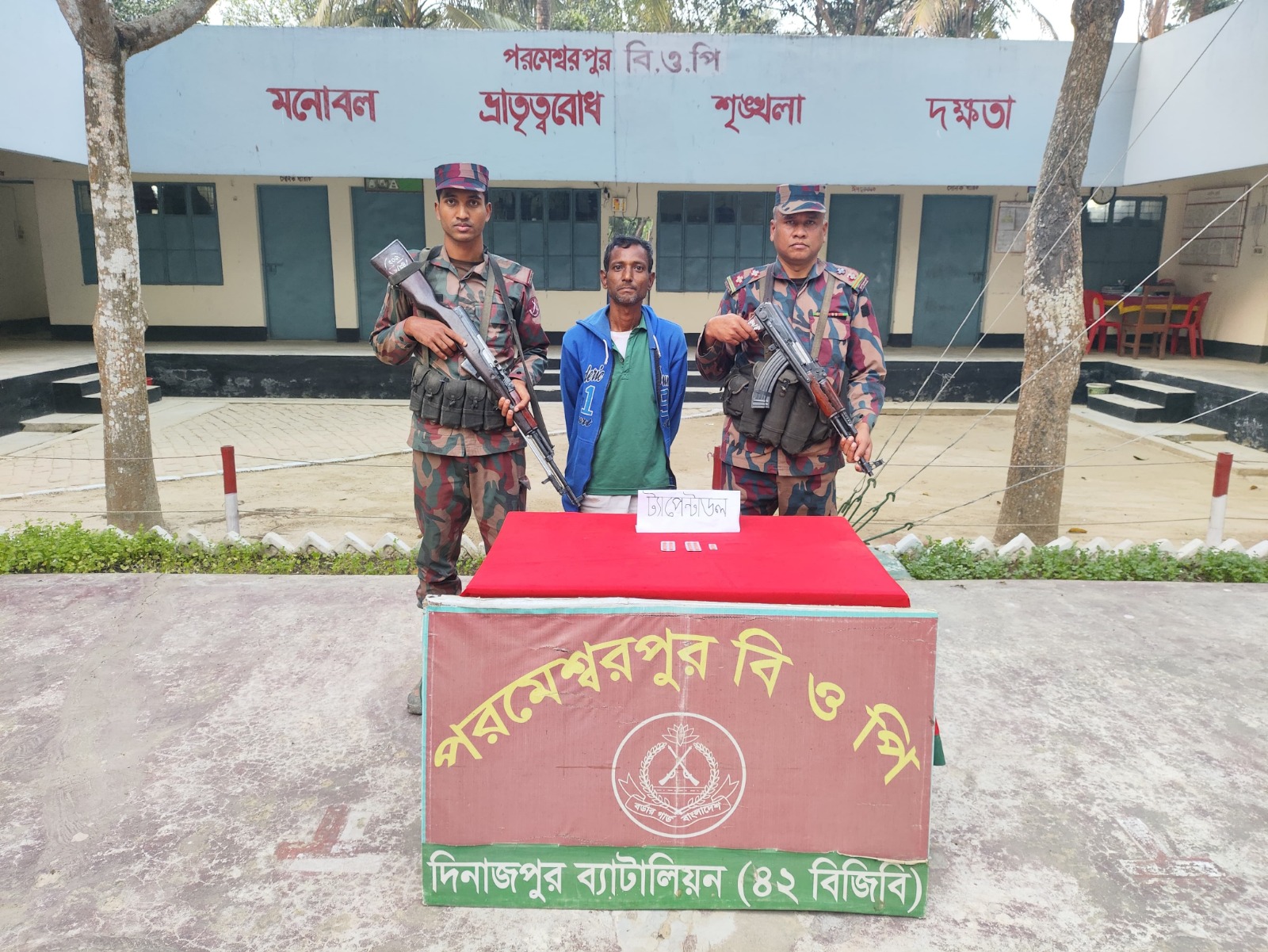 Potato export image showing many potatoes