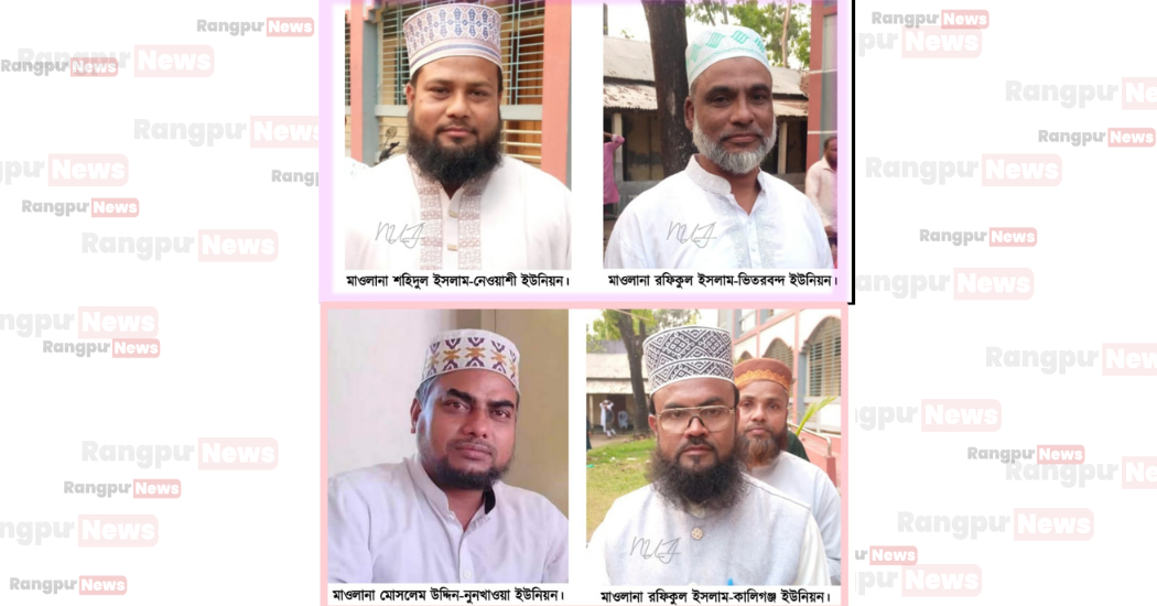 Potato export image showing many potatoes