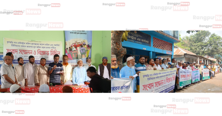 Potato export image showing many potatoes