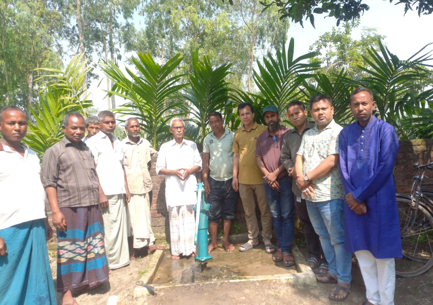 Potato export image showing many potatoes