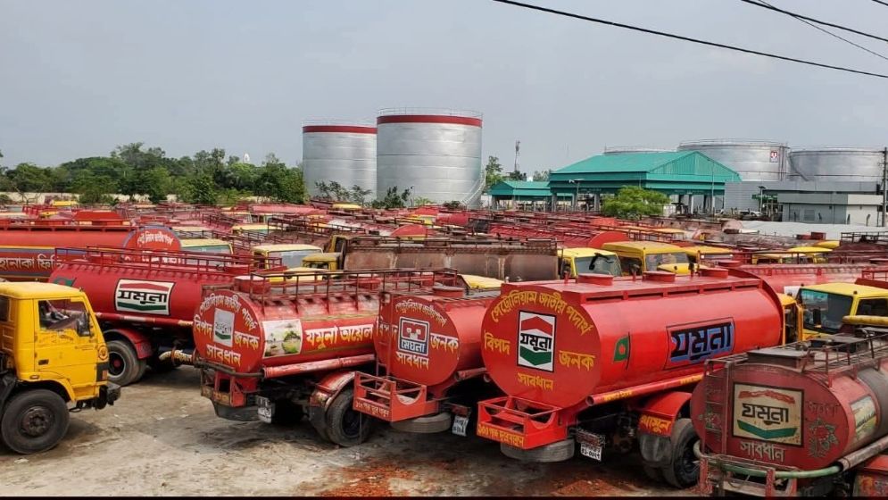 Potato export image showing many potatoes