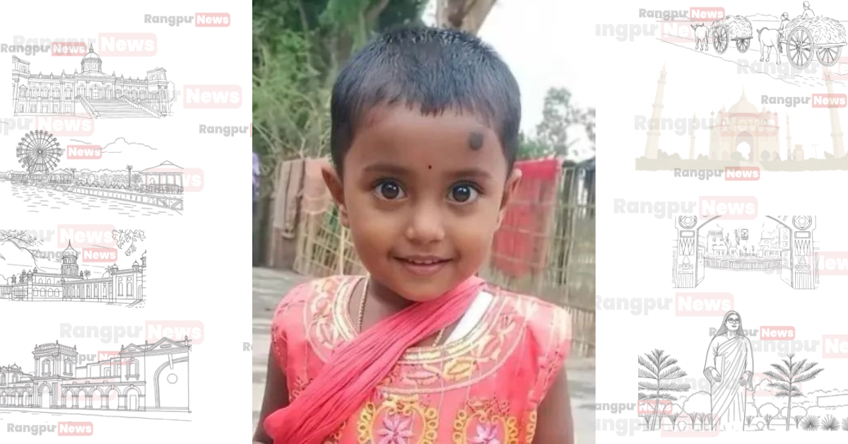 Potato export image showing many potatoes