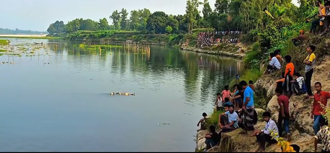 Potato export image showing many potatoes